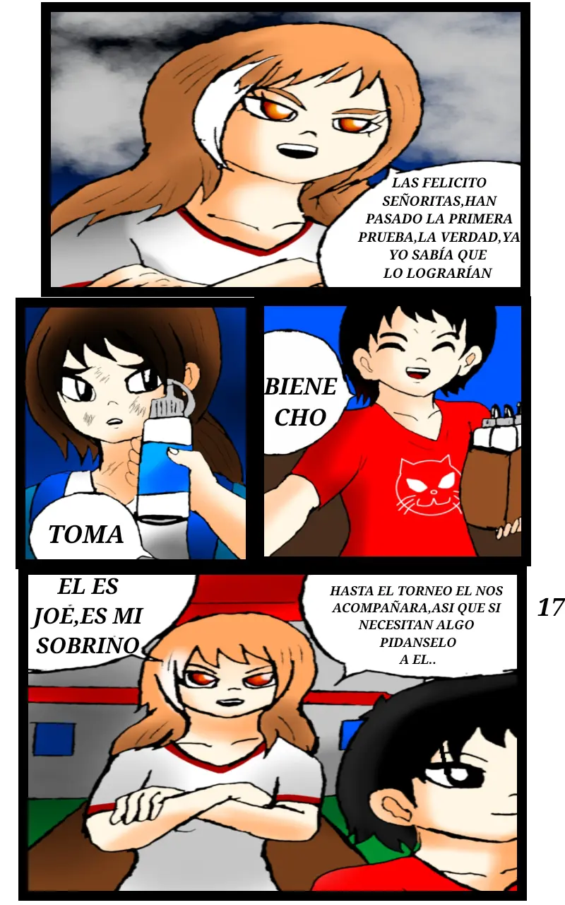 Page 17