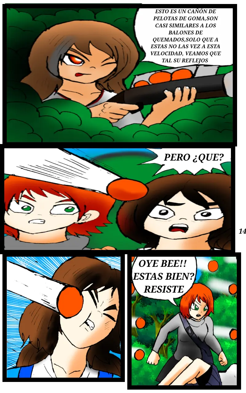 Page 14
